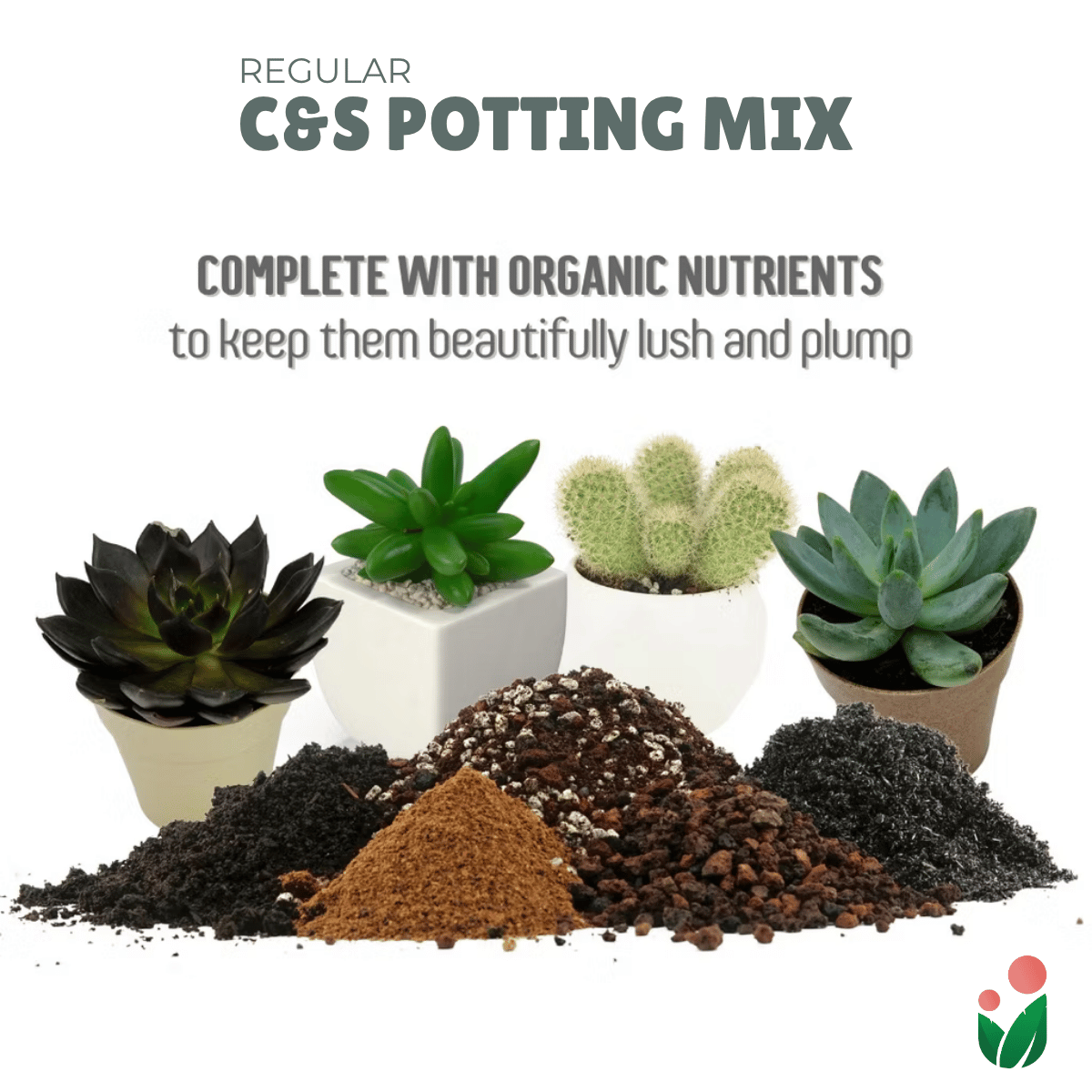 C&S SOIL-LESS POTTING MIX   Best Suited for Cactus and Succulents