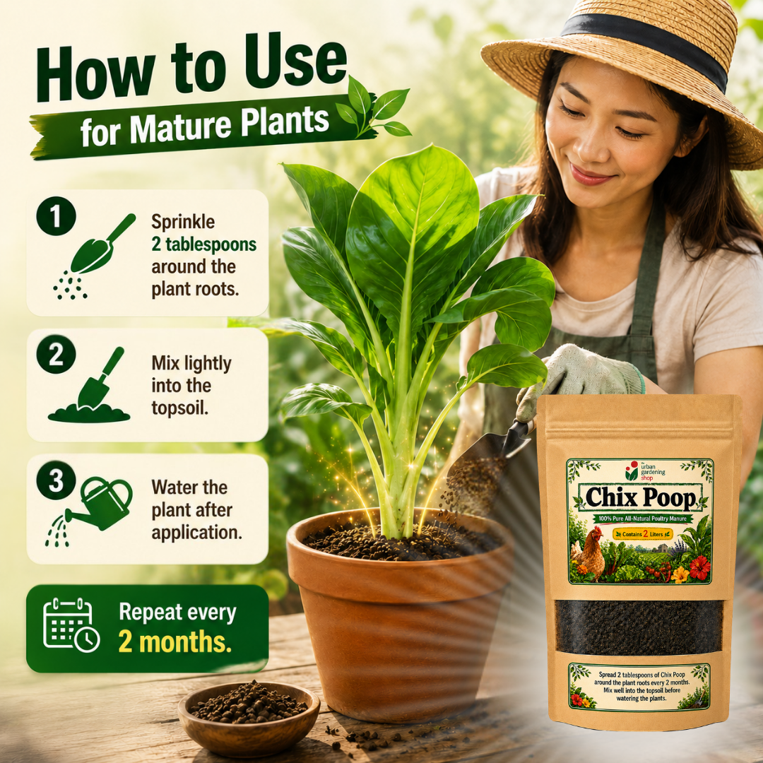 Chix Poop - Composted Chicken Manure 2L| Soil Amendment| Organic Plant Booster | Home Gardening Safe