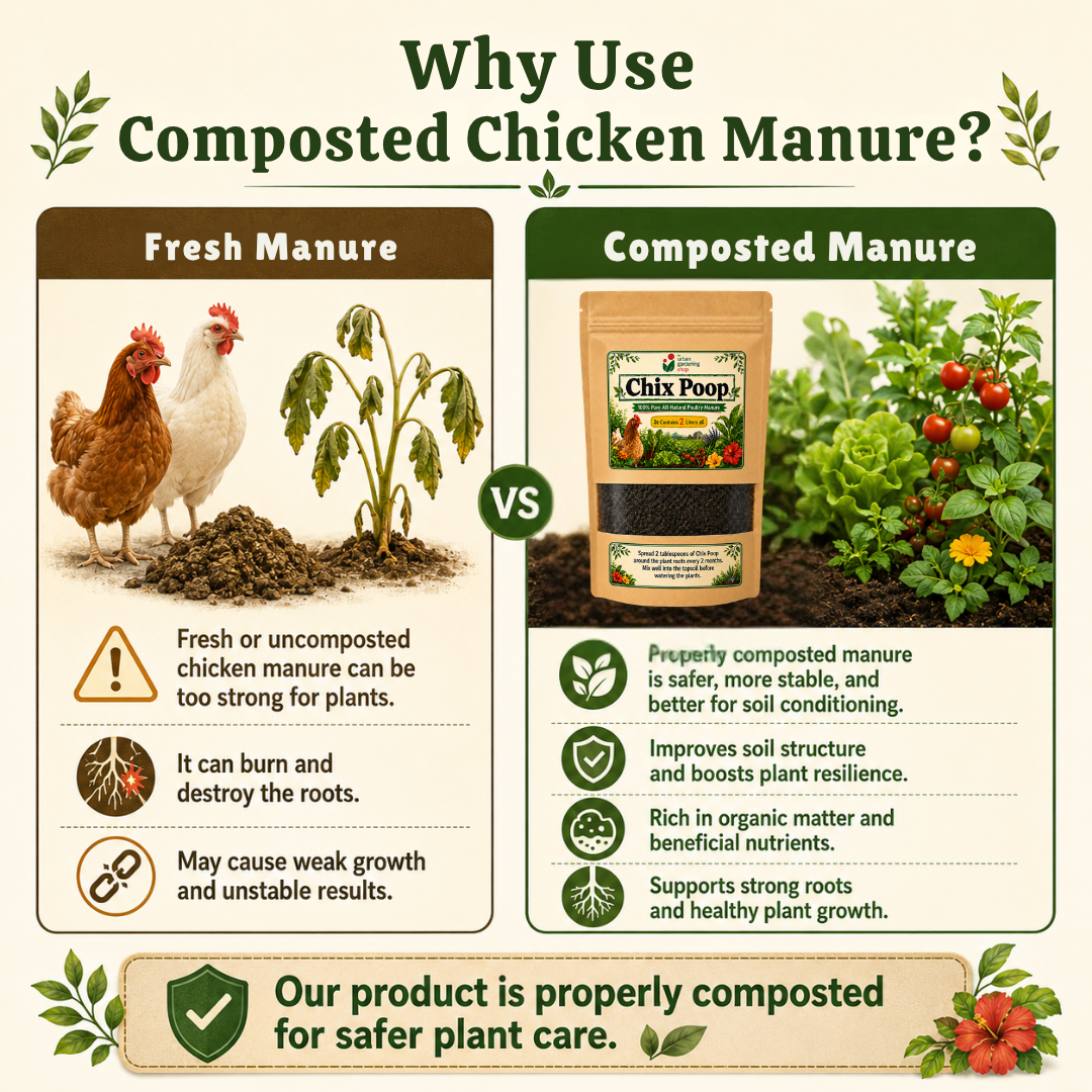 Chix Poop - Composted Chicken Manure 2L| Soil Amendment| Organic Plant Booster | Home Gardening Safe