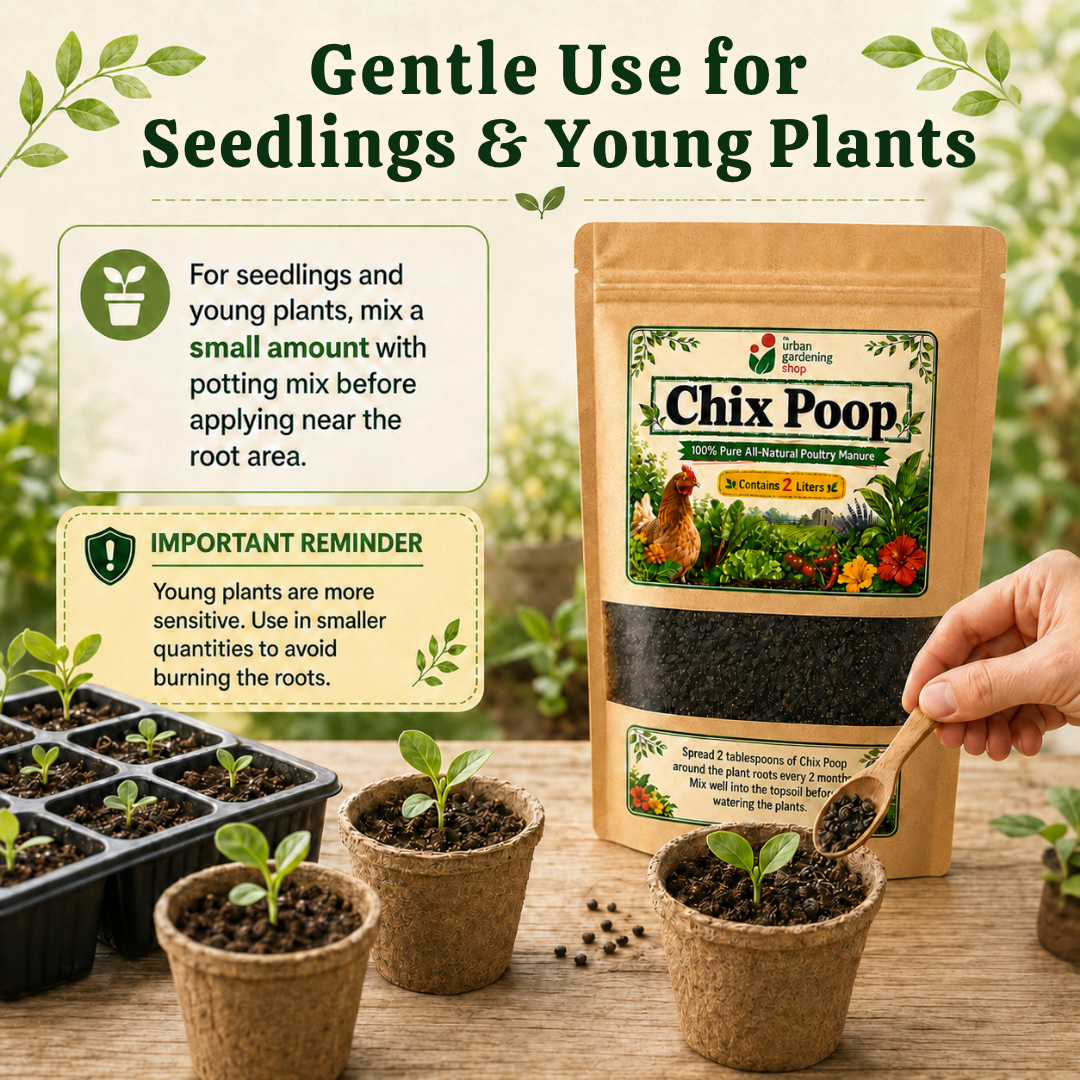 Chix Poop - Composted Chicken Manure 2L| Soil Amendment| Organic Plant Booster | Home Gardening Safe