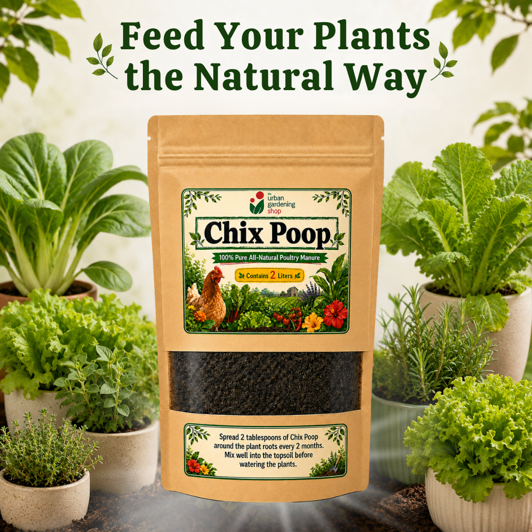 Chix Poop - Composted Chicken Manure 2L| Soil Amendment| Organic Plant Booster | Home Gardening Safe