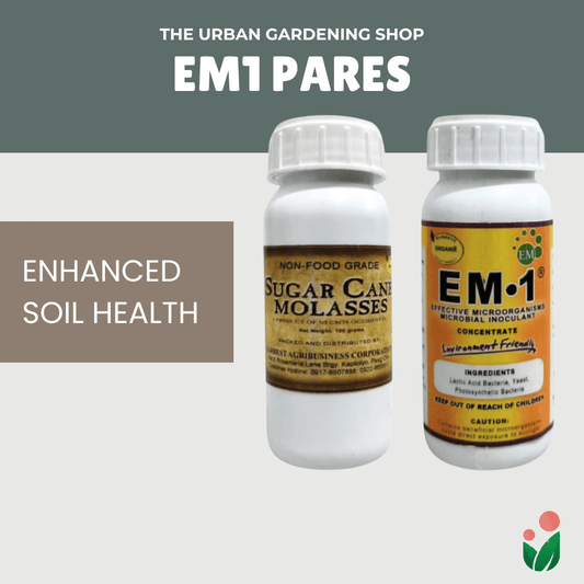EM1 solution