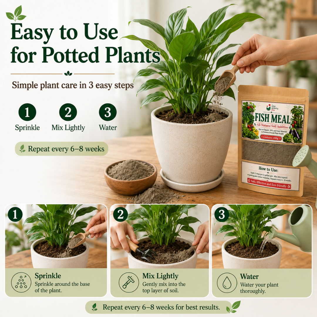 Fish Meal All-Natural Soil Additive for Plants, Garden Soil and Potting Mix – Source of Organic NPK