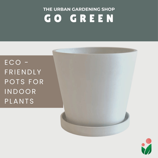 Go Green Eco-Friendly Garden Pots For Indoor Plants | LARGE Size - 19.5cm
