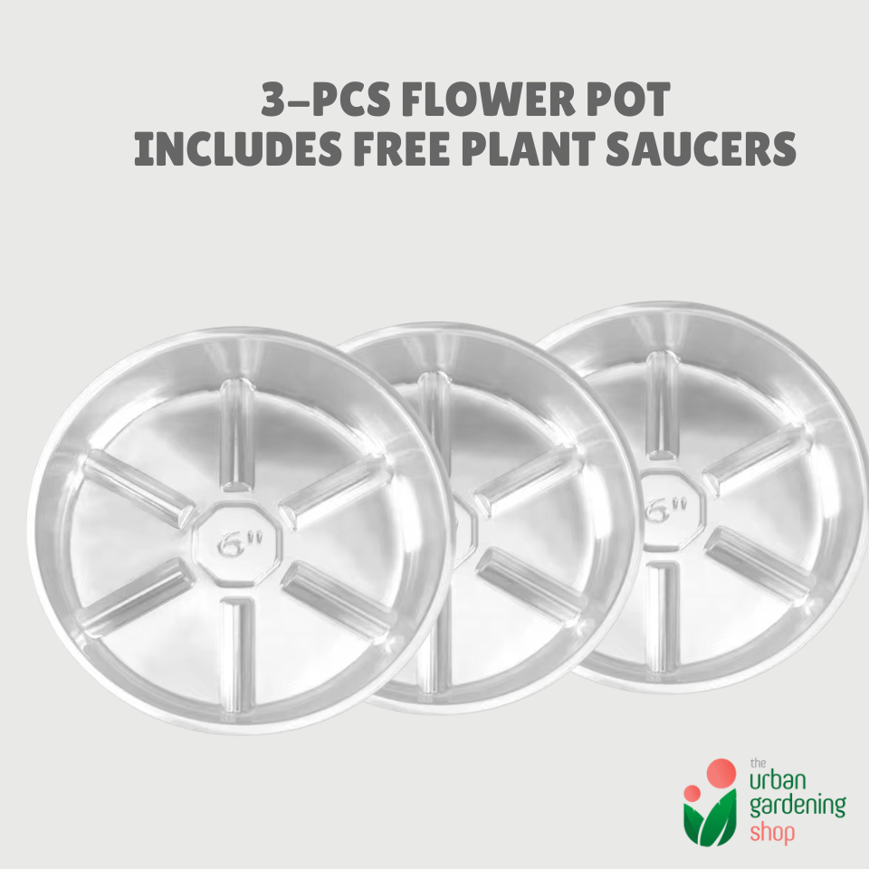 3-pcs Plastic Flower Pot (Includes 3 FREE Plant Saucers)