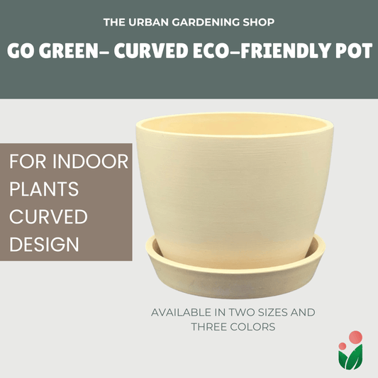Go Green Eco-Friendly Garden Pots For Indoor Plants | CURVED DESIGN