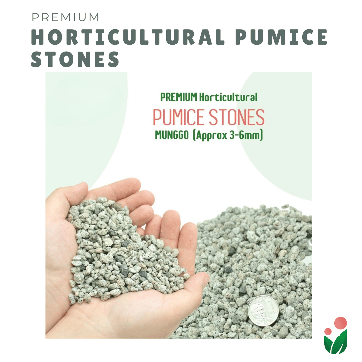 PUMICE Rocks and Pebbles for Gardening Purposes