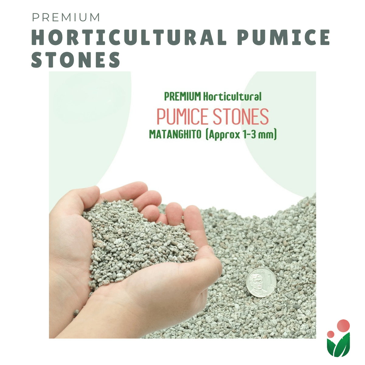 PUMICE Rocks and Pebbles for Gardening Purposes