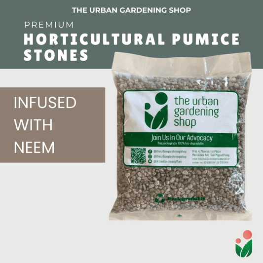 PUMICE Rocks and Pebbles for Gardening Purposes