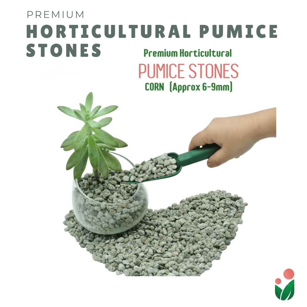 PUMICE Rocks and Pebbles for Gardening Purposes