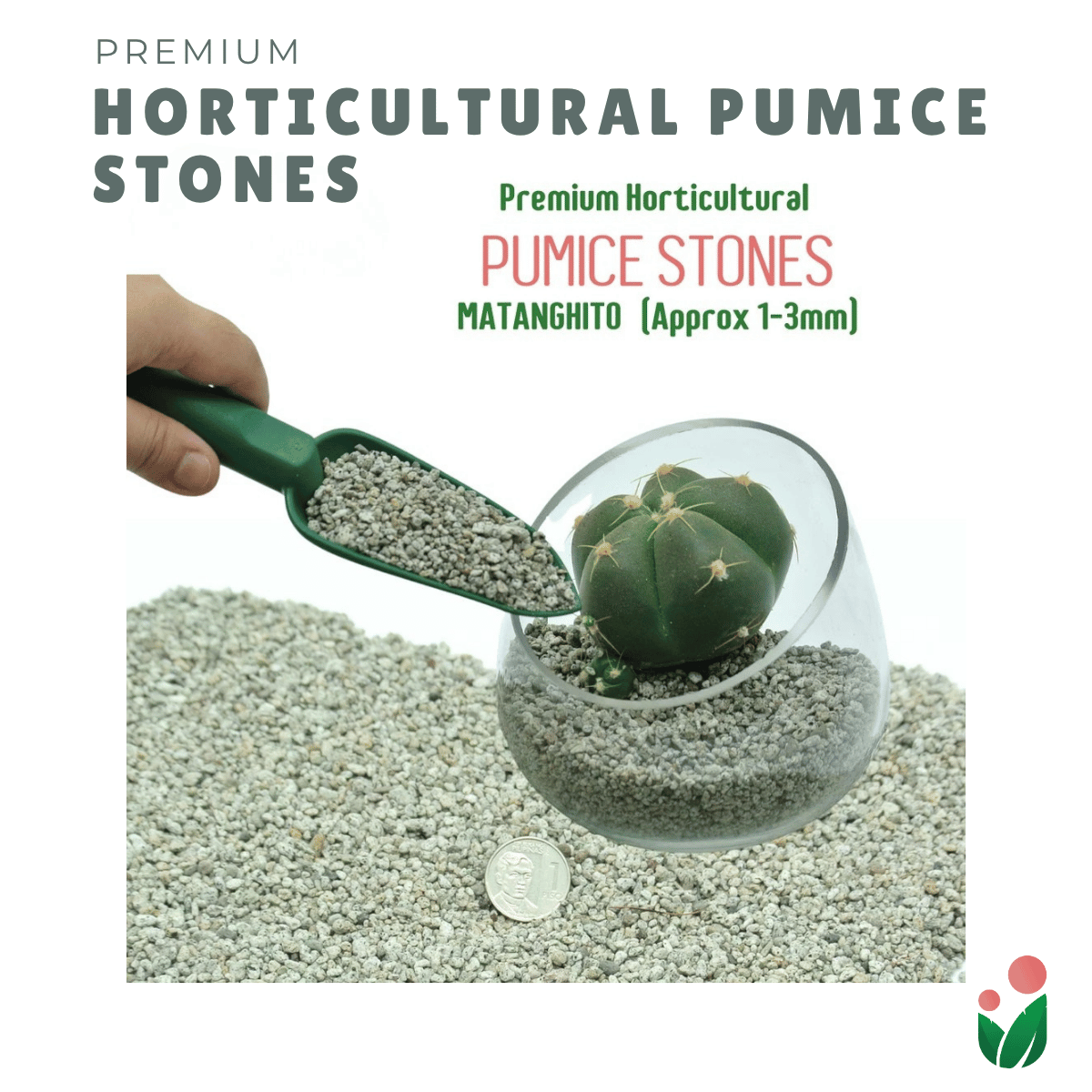 PUMICE Rocks and Pebbles for Gardening Purposes