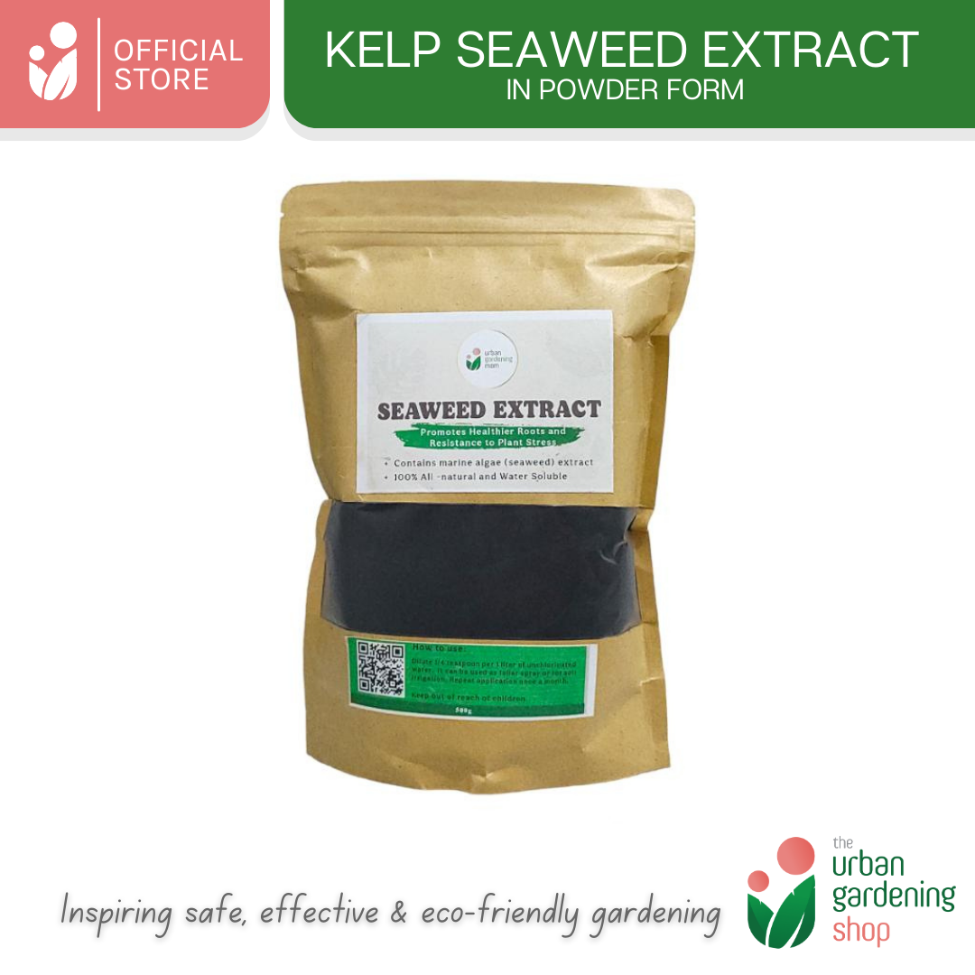 Seaweed Extract- All-Natural Revitalizer for Potting Mix and Garden Soils