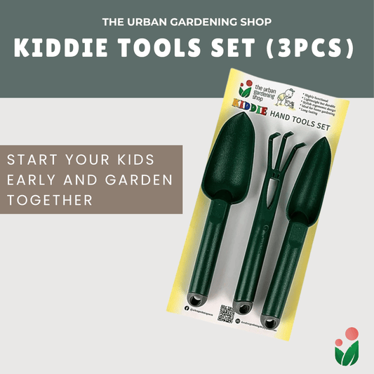 Kiddie Tools Set (3pcs)