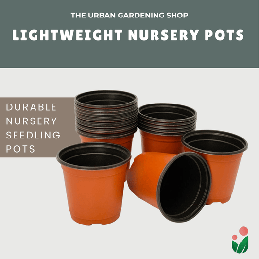 Lightweight Nursery Seedling Pots |  Plastic Red and Black Color in 3 Different Sizes