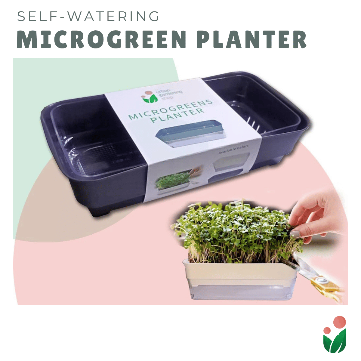 MICROGREENS PLANTER (Self Watering Planter for Growing Microgreens)