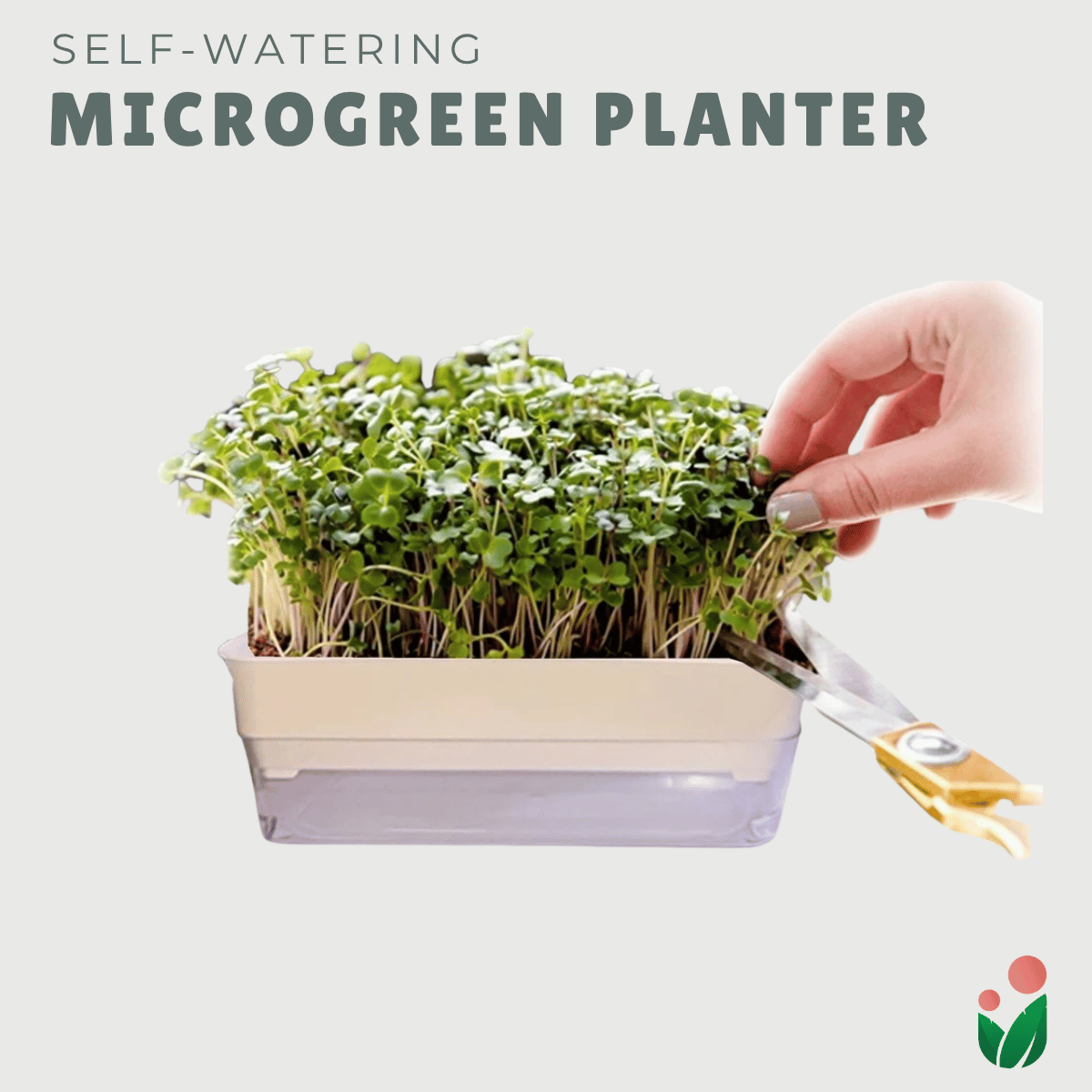 MICROGREENS PLANTER (Self Watering Planter for Growing Microgreens)