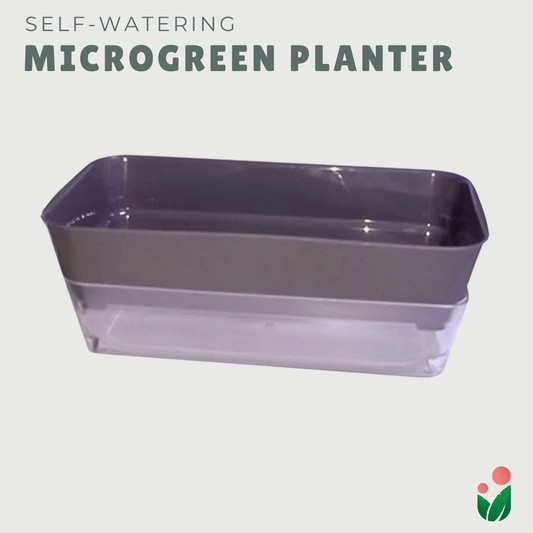 MICROGREENS PLANTER (Self Watering Planter for Growing Microgreens)