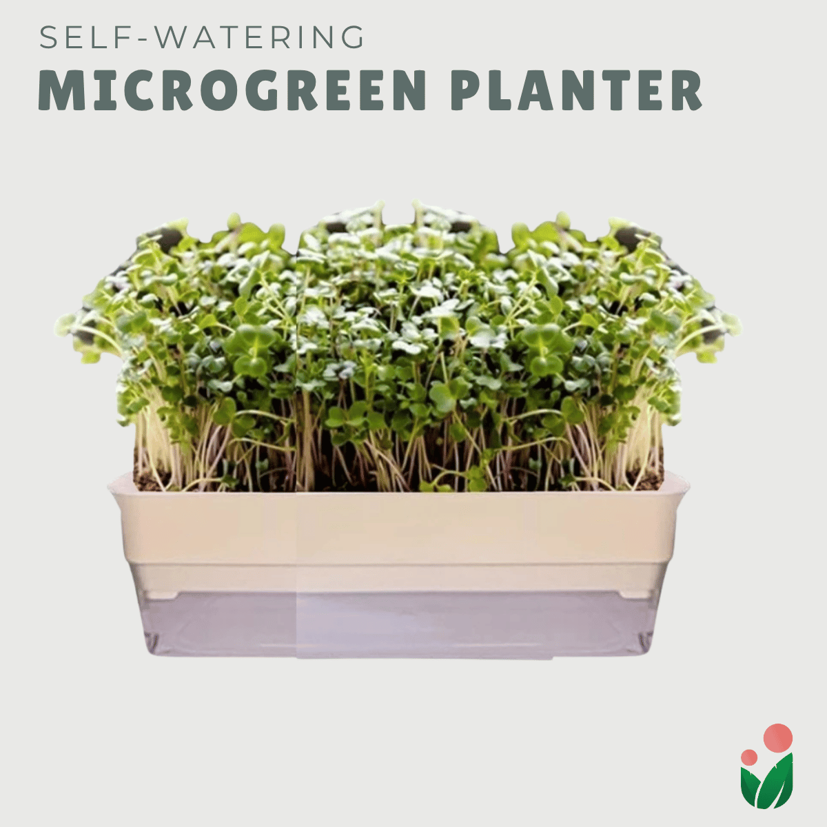 MICROGREENS PLANTER (Self Watering Planter for Growing Microgreens)