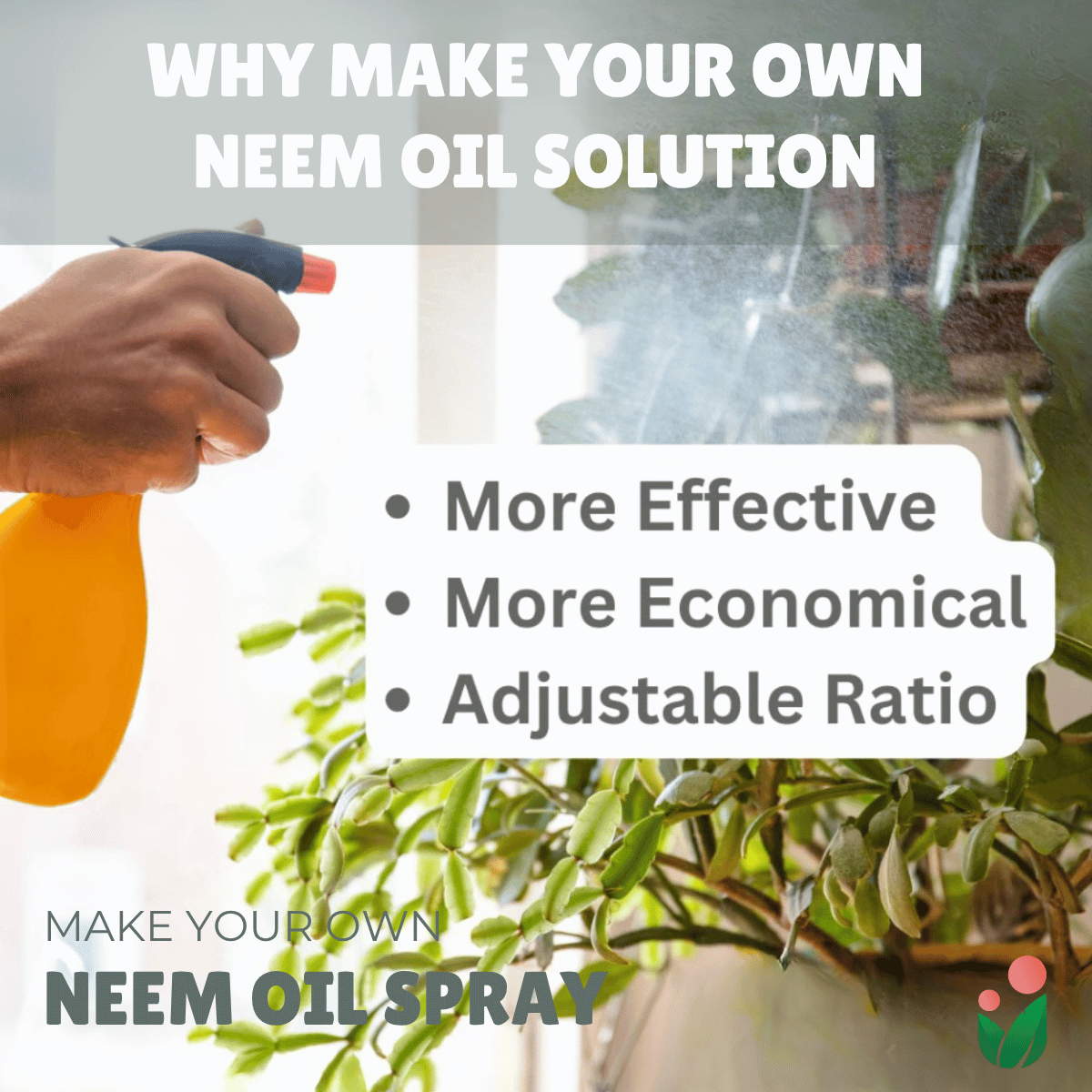 Neem Oil Spray Do-it-Yourself Kit for Gardening Use (Neem + Castile Soap Bundle Kit)
