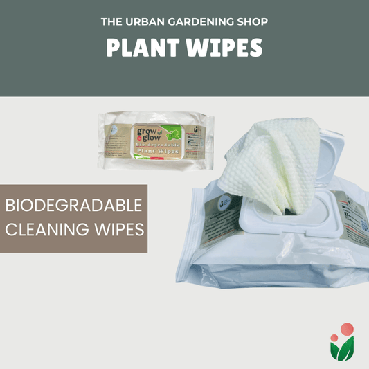 Bio-degradable Plant Wipes (40 sheets) - For Plant Cleaning and Leaf Shine