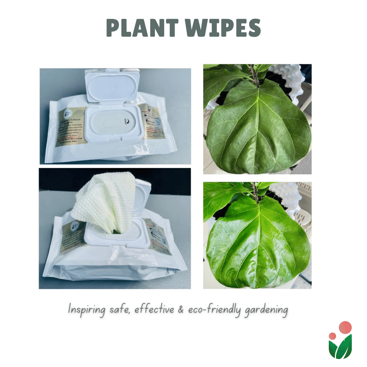 Bio-degradable Plant Wipes (40 sheets) - For Plant Cleaning and Leaf Shine