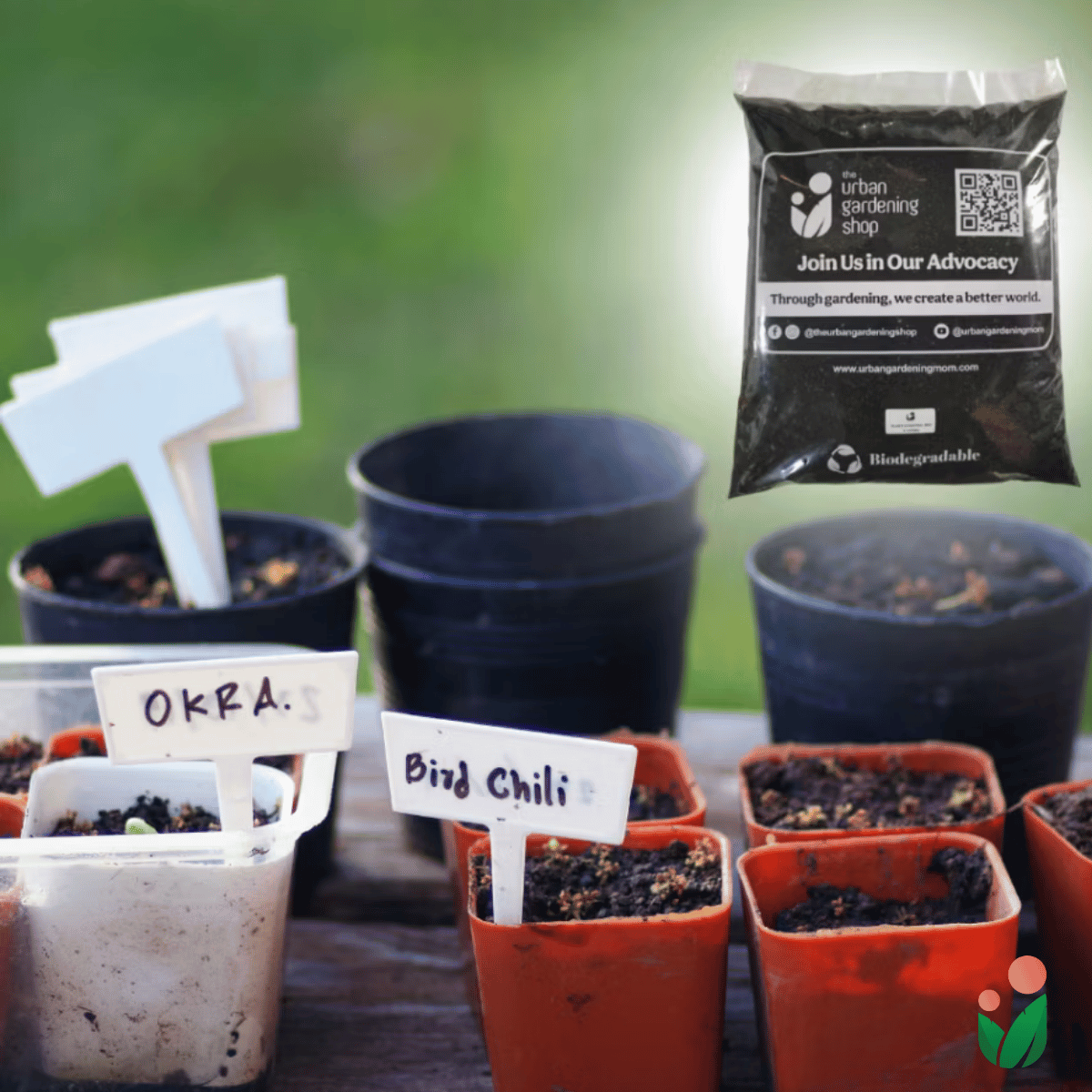 Soil-less Plant Starting Mix (2.0 Liter per Pack + FREE Starting Guide Kit)| Best Grow Media For Starting Plants