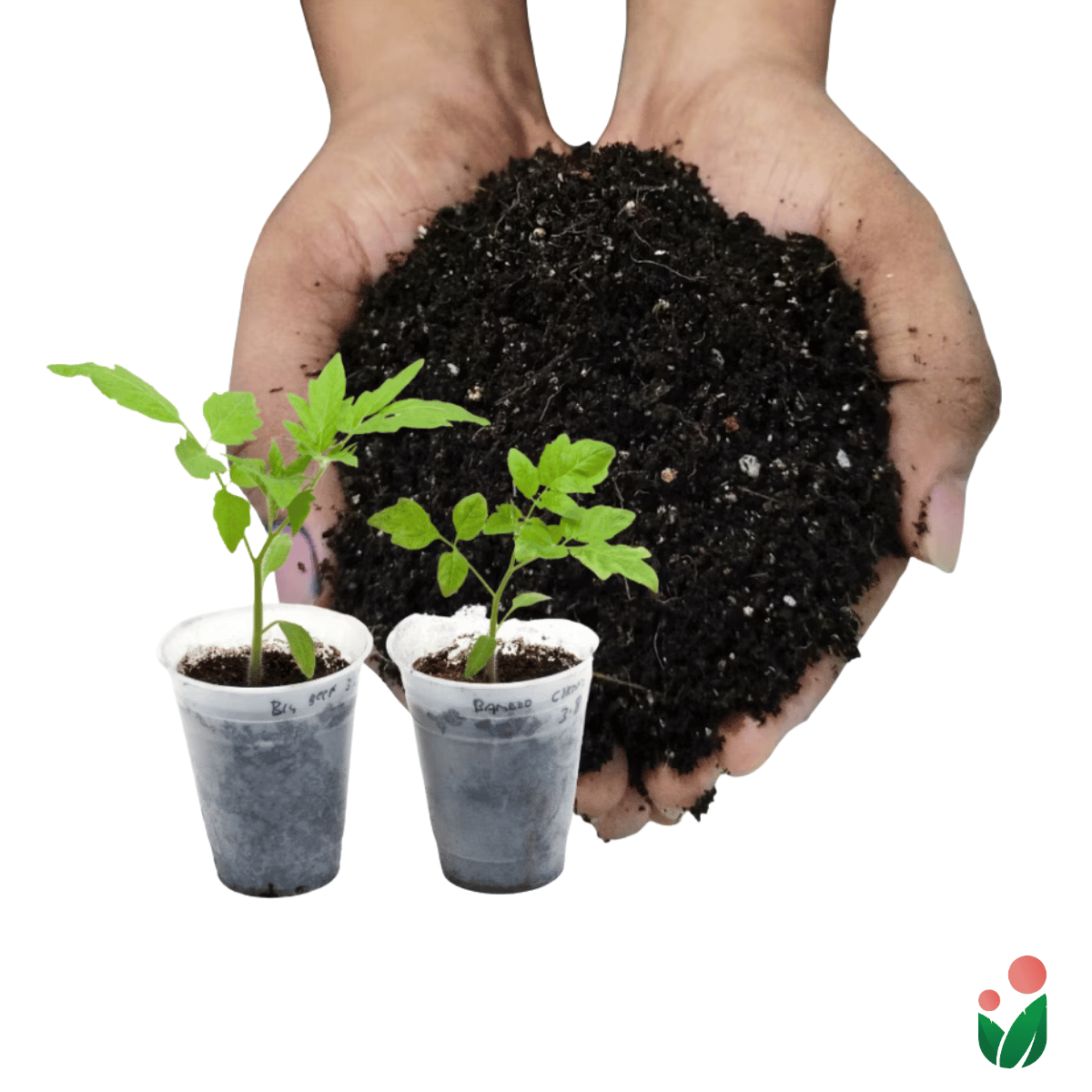 Soil-less Plant Starting Mix (2.0 Liter per Pack + FREE Starting Guide Kit)| Best Grow Media For Starting Plants