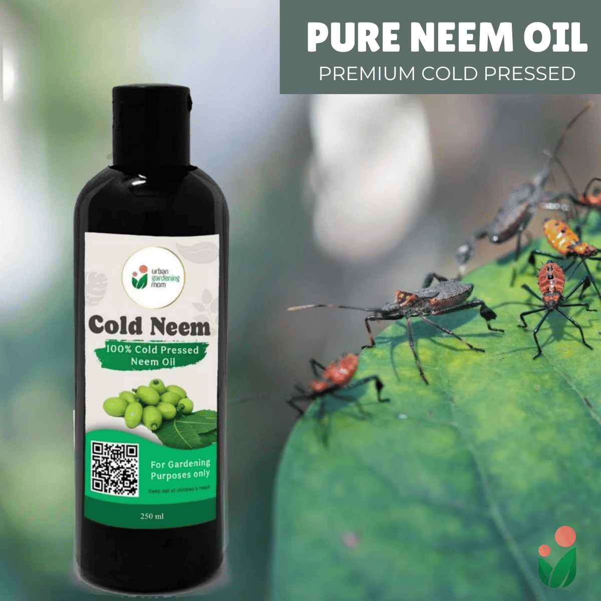 COLD NEEM 100% Pure Neem Oil Extracted from Neem Seeds using Cold Press Method