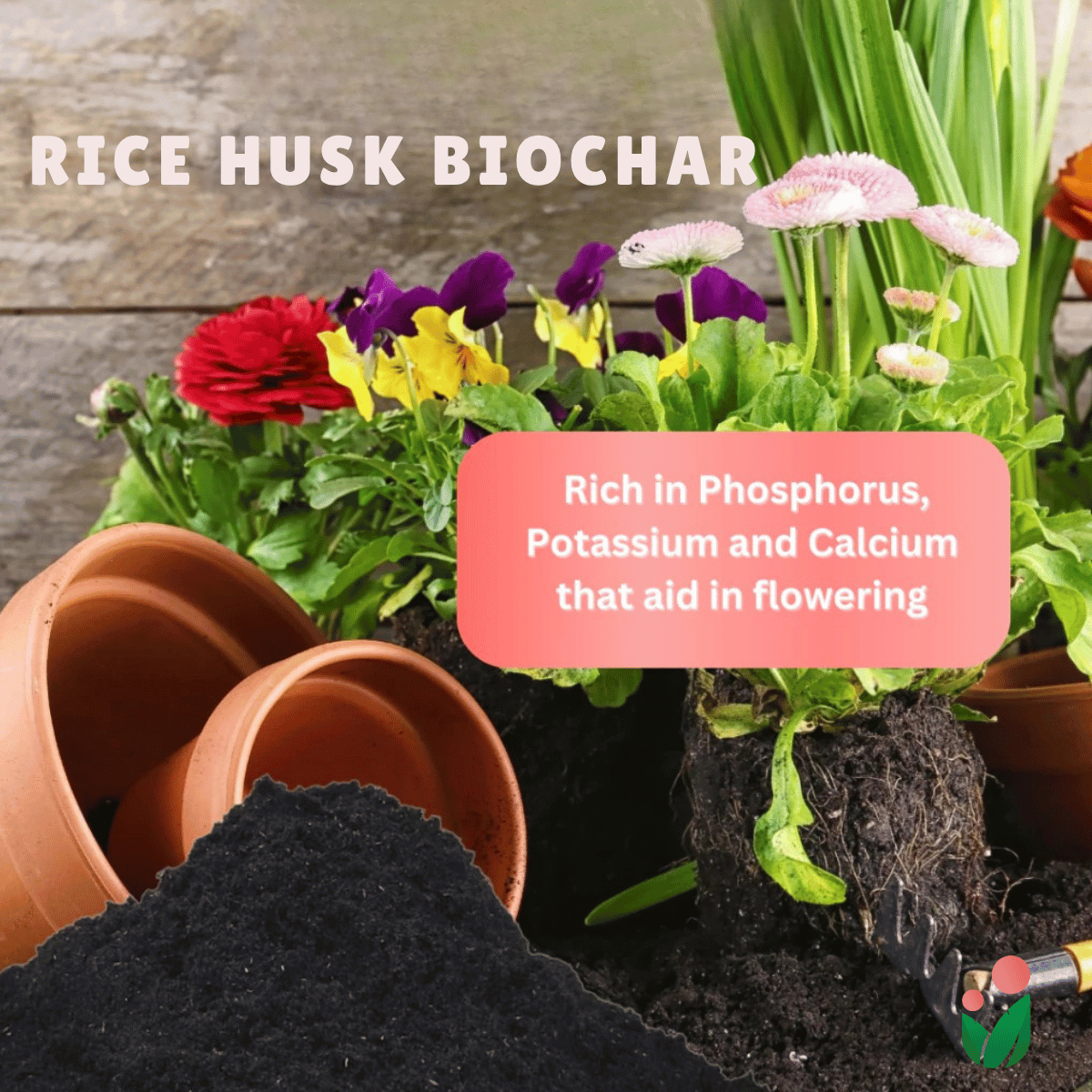 Rice Husk Biochar