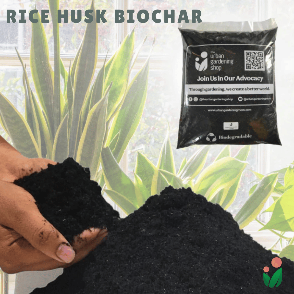 Rice Husk Biochar – Urban Gardening Mom