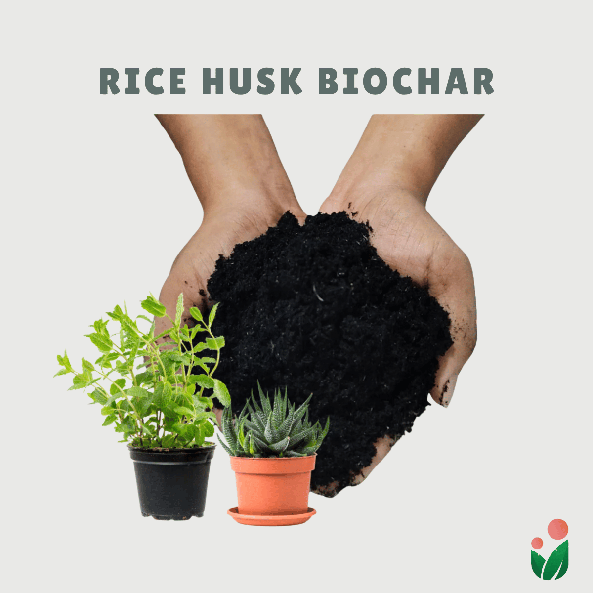 Rice Husk Biochar – Urban Gardening Mom