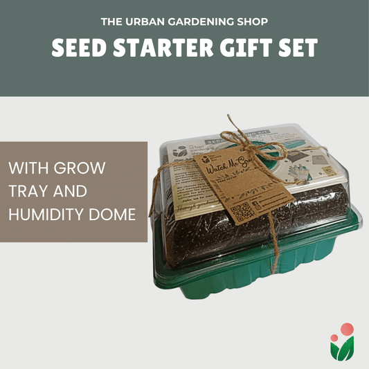 SEED GROW KIT with Tray and Humidity Dome- Includes Potting Mix, Seedling Tags and Free Seeds