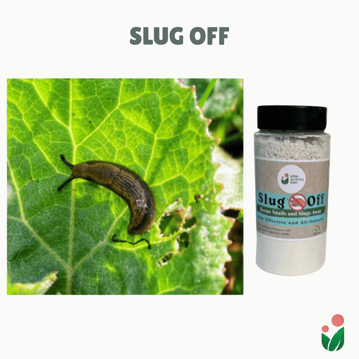 Slug Off - All-Natural and Chemical- Free Solution to Fight Garden Pests