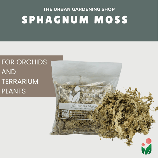 SPHAGNUM MOSS - High Quality Moss - Best for Orchids and Pet Bedding