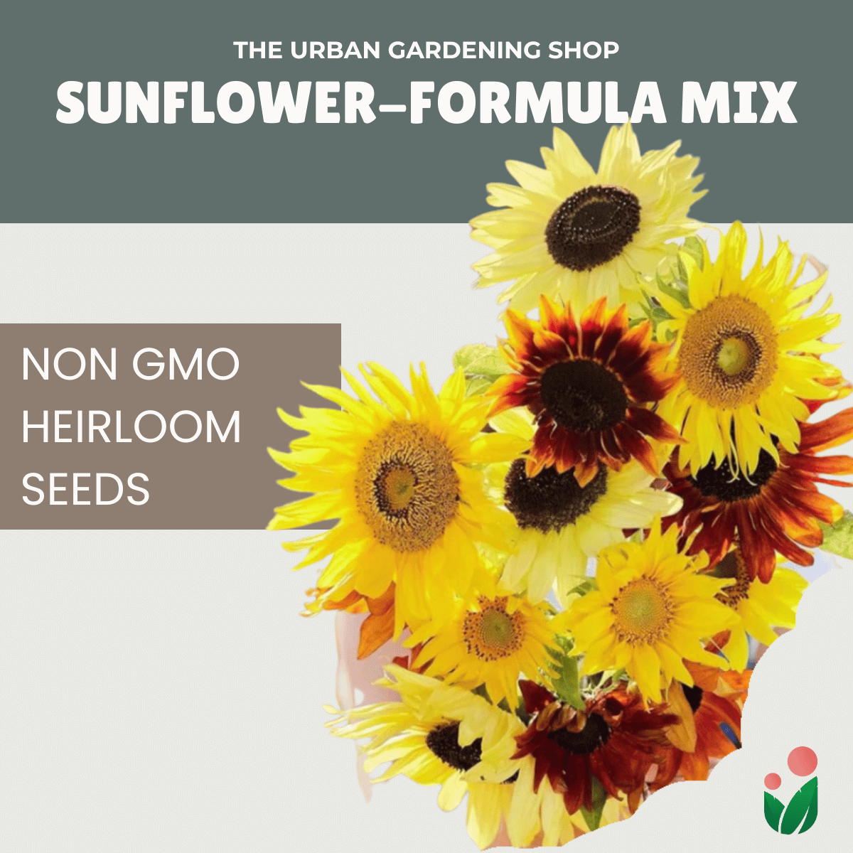 Premium Non-GMO Seeds - Sunflower Formula Mix