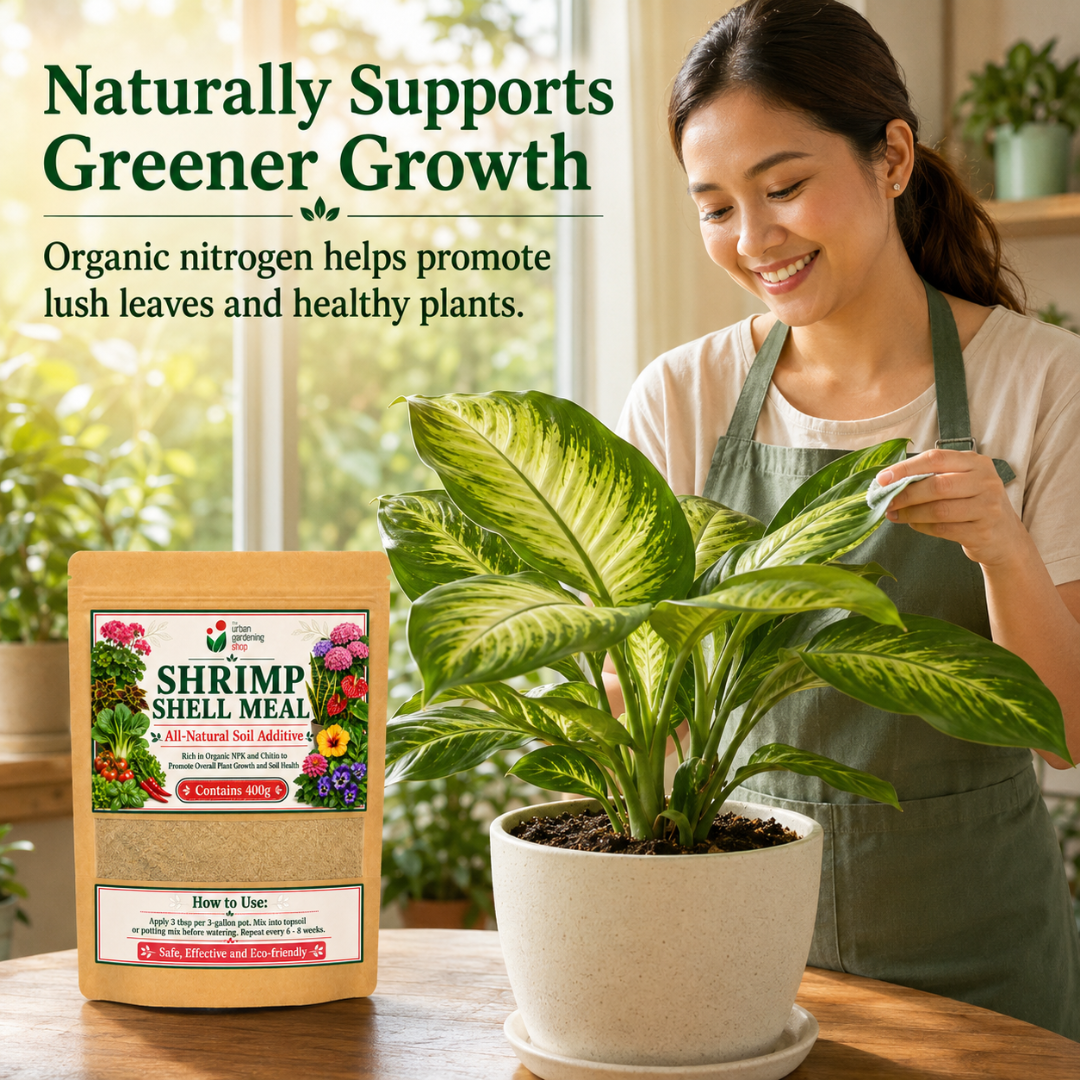 Shrimp Shell Meal - Derived from Ground Shrimp Shells (Contains Rich Organic Nutrients for Plants)