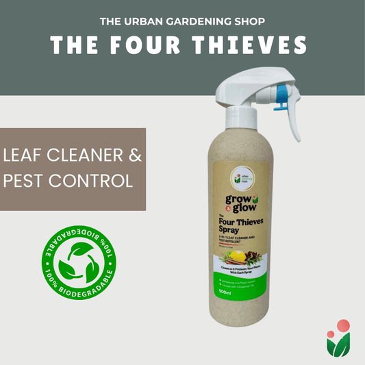 THE FOUR THIEVES BLEND All-Purpose Garden Spray -  Disinfectant, Cleaning, Misting, Air Freshener and Insect Repellant in One – For  Indoor Use