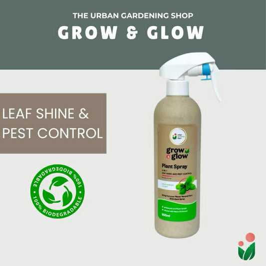 500ml Grow & Glow - Plant Spray For Leaf Cleaning, Shine and Protection