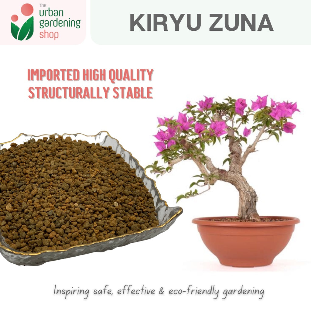 bonsai soil for succulents Kiryu Zuna Ideal Substrate For Bonsai And Succulents – Urban Gardening Mom