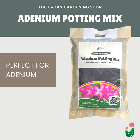 8-liter Adenium Potting Mix - All-Natural Soilless Mix for Potted Adeniums