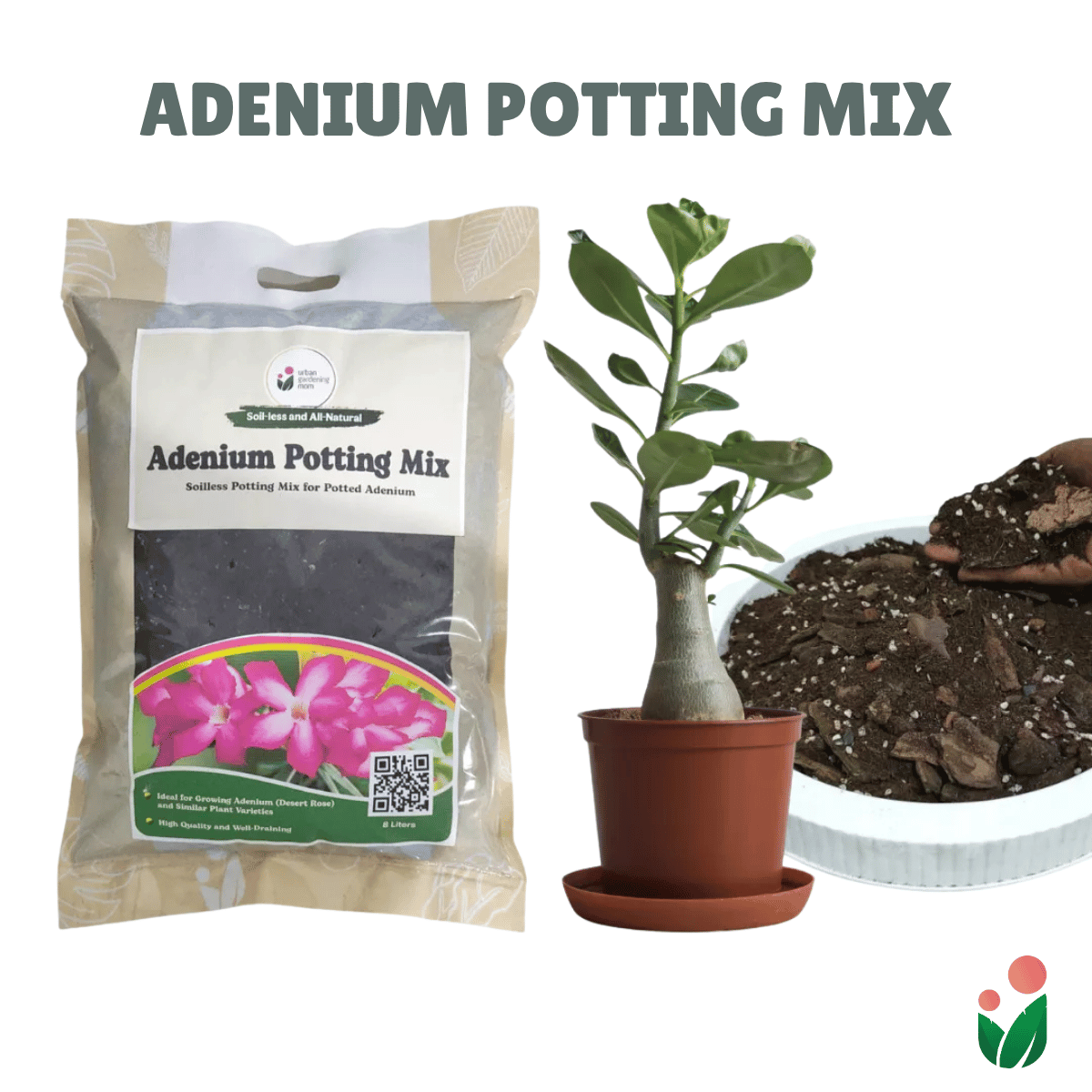 8-liter Adenium Potting Mix - All-Natural Soilless Mix for Potted Adeniums