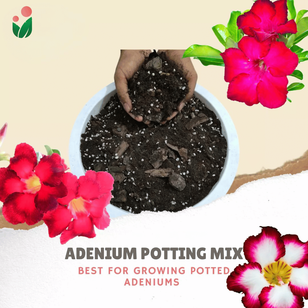8-liter Adenium Potting Mix - All-Natural Soilless Mix for Potted Adeniums