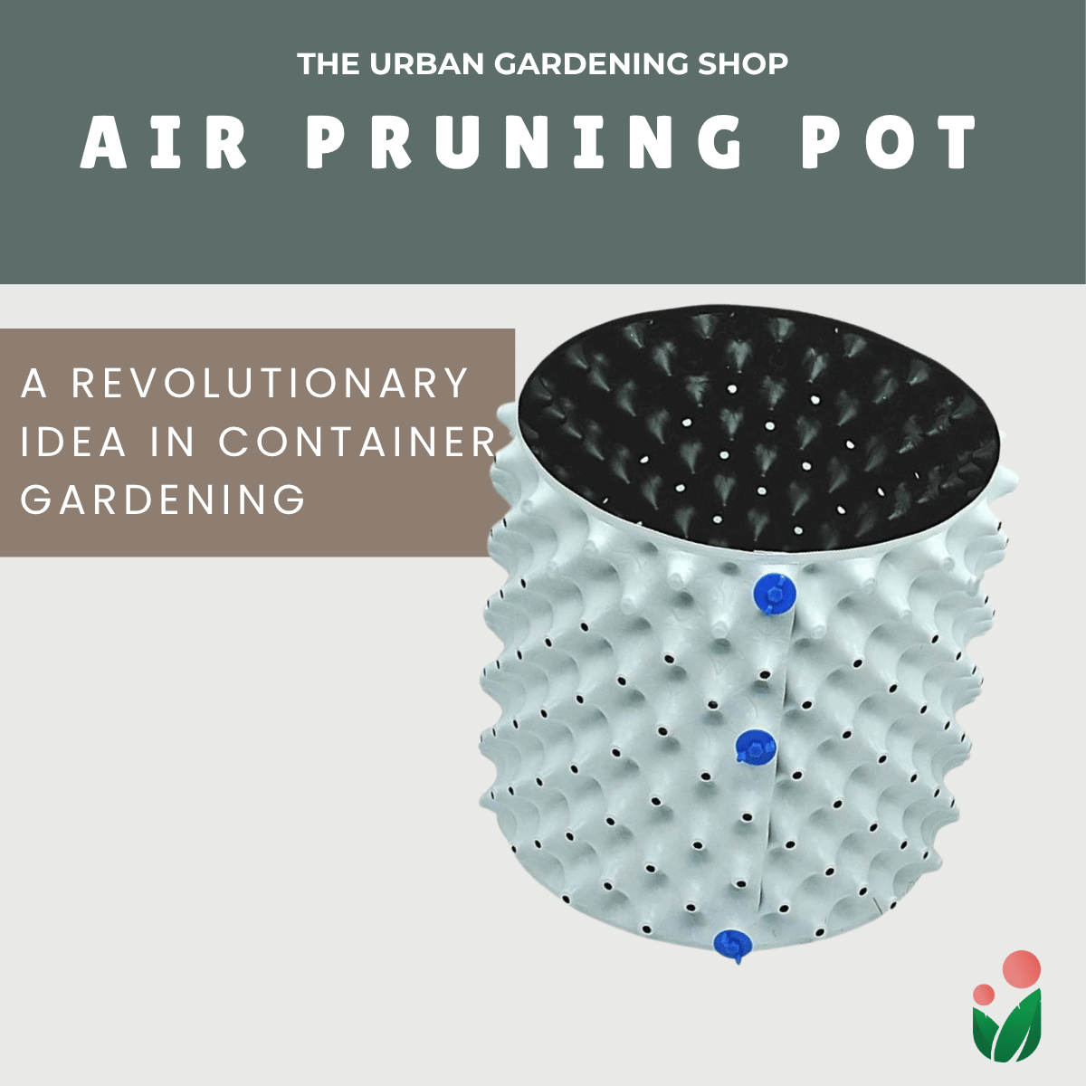 AIR PRUNING POT (1 set)- A revolutionary Idea in Container Gardening