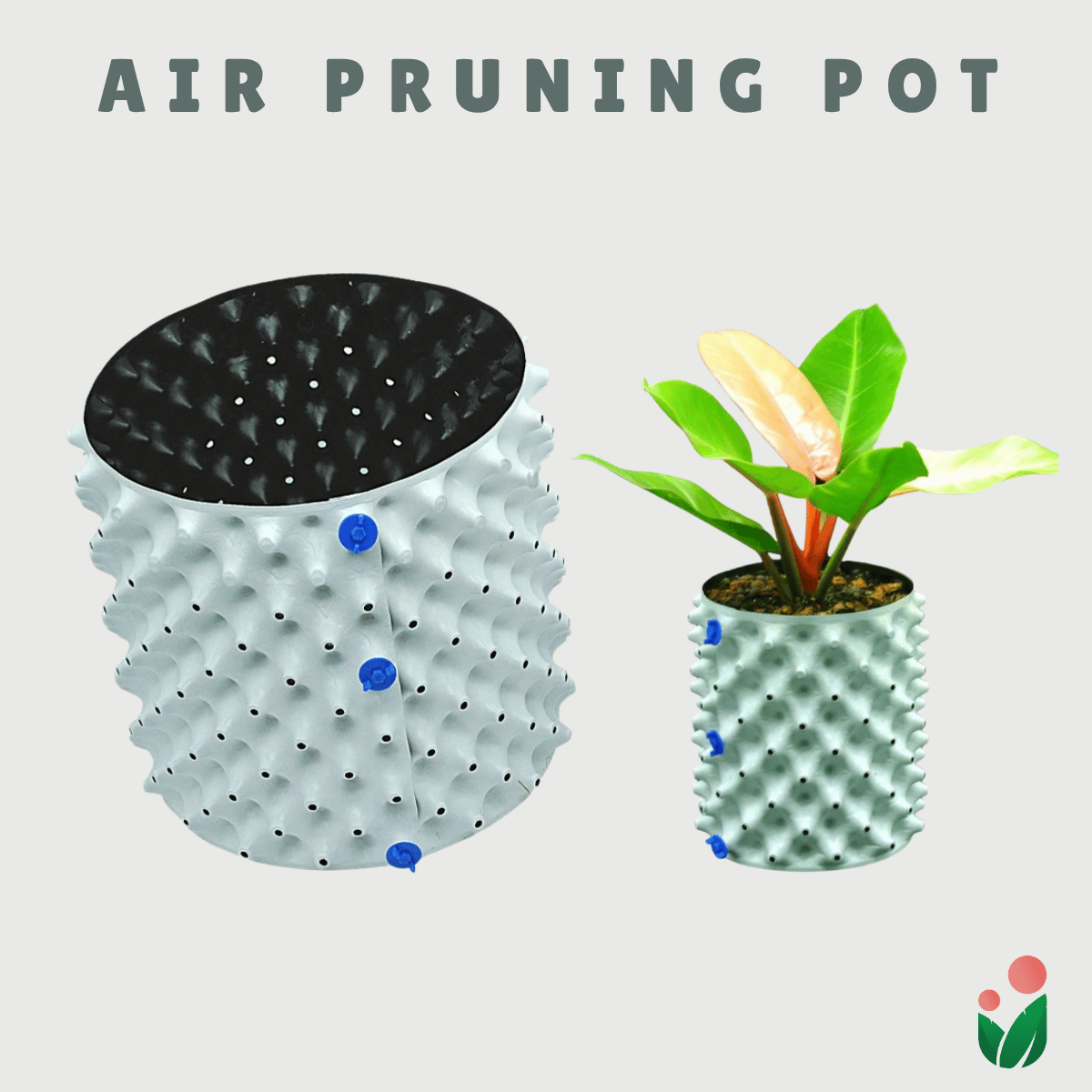 AIR PRUNING POT (1 set)- A revolutionary Idea in Container Gardening –  Urban Gardening Mom