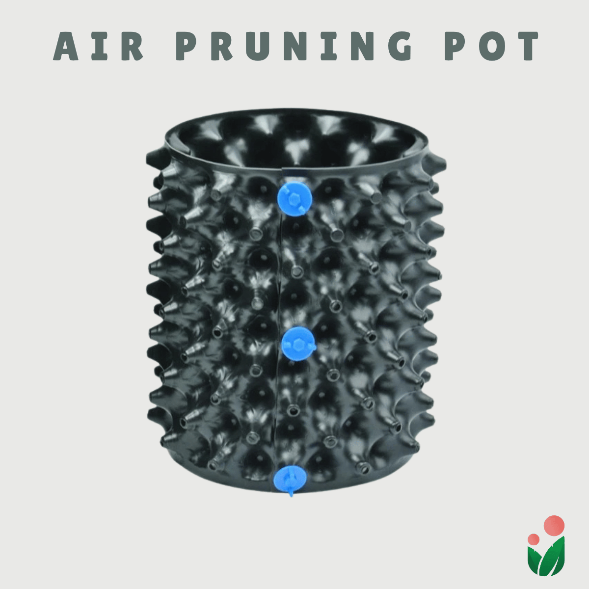 AIR PRUNING POT (1 set)- A revolutionary Idea in Container Gardening