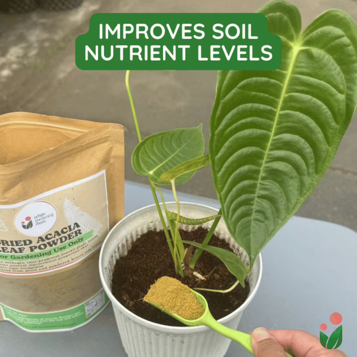 Alfalfa Meal - All-Natural Garden Soil Additive Derived from Dried Alfalfa