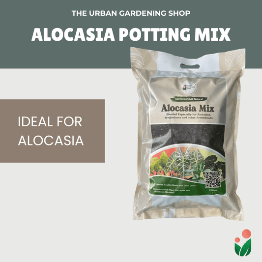 8-Liter Alocasia Mix - Soilless Potting For Alocasias and Arrowheads