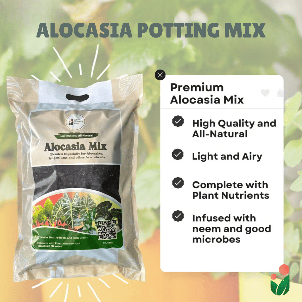 8-Liter Alocasia Mix - Soilless Potting For Alocasias and