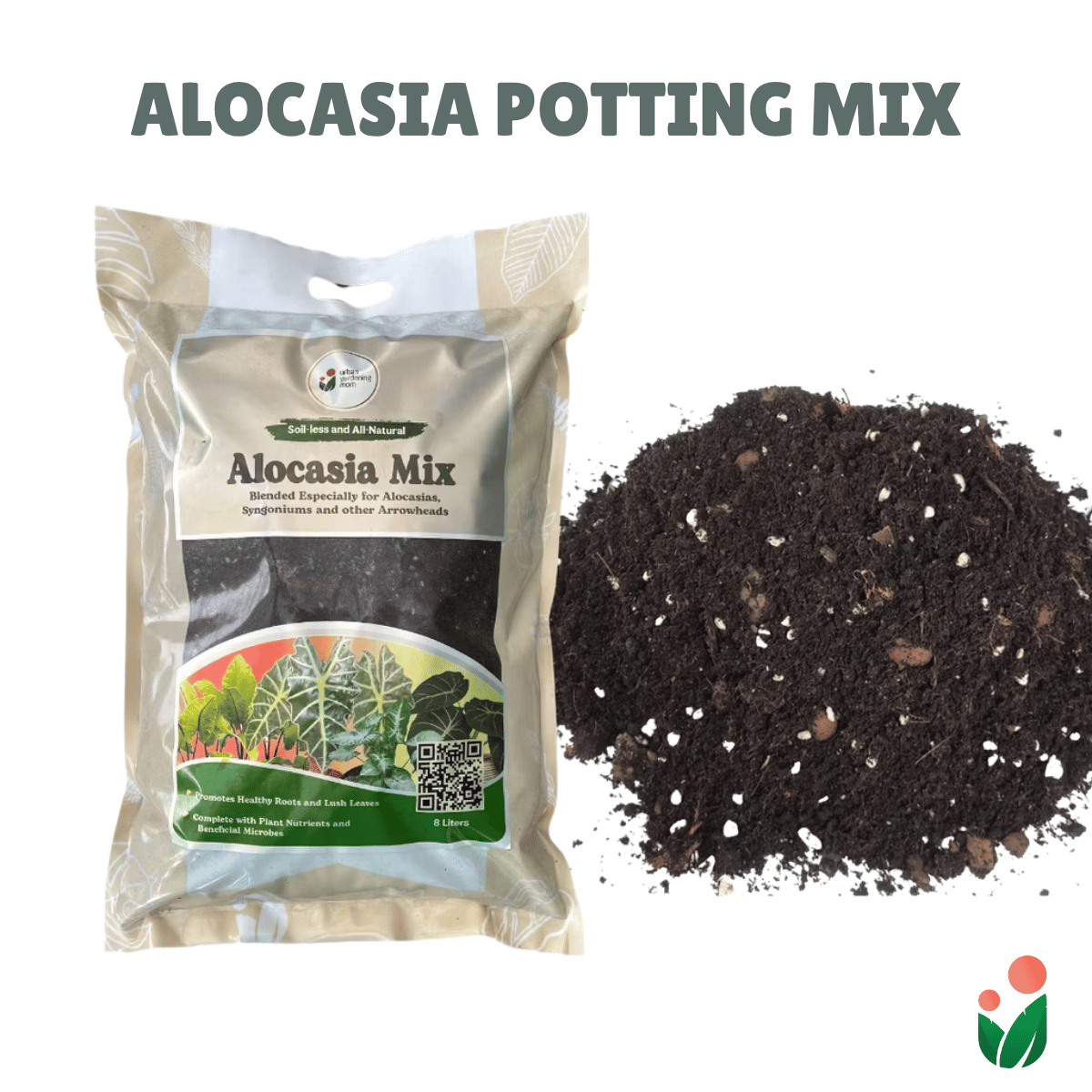 8-Liter Alocasia Mix - Soilless Potting For Alocasias and Arrowheads