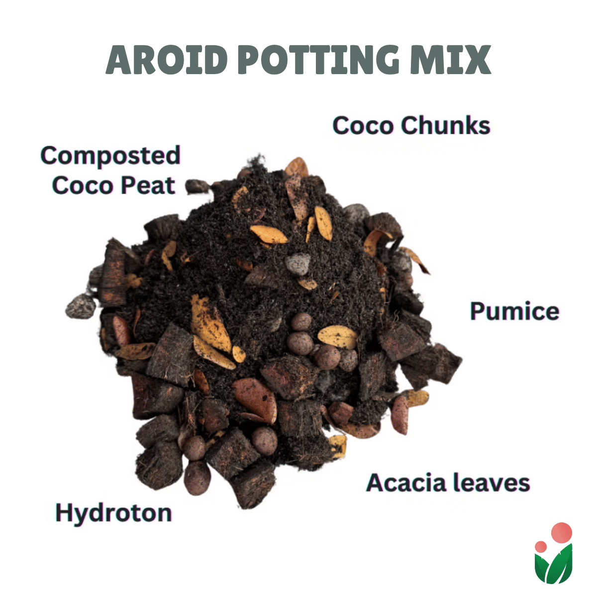 types of potting mix AROIDS SOIL -LESS POTTING MIX- Best for Monstera, Philodendron, Aglaon – Urban Gardening Mom